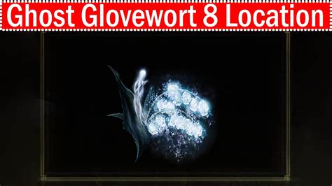 Elden Ring How to Buy <strong>Ghost Glovewort</strong> 1-9. . How to get ghost glovewort 8
